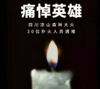 阳光甚好，是有人为我们挡住了黑暗...